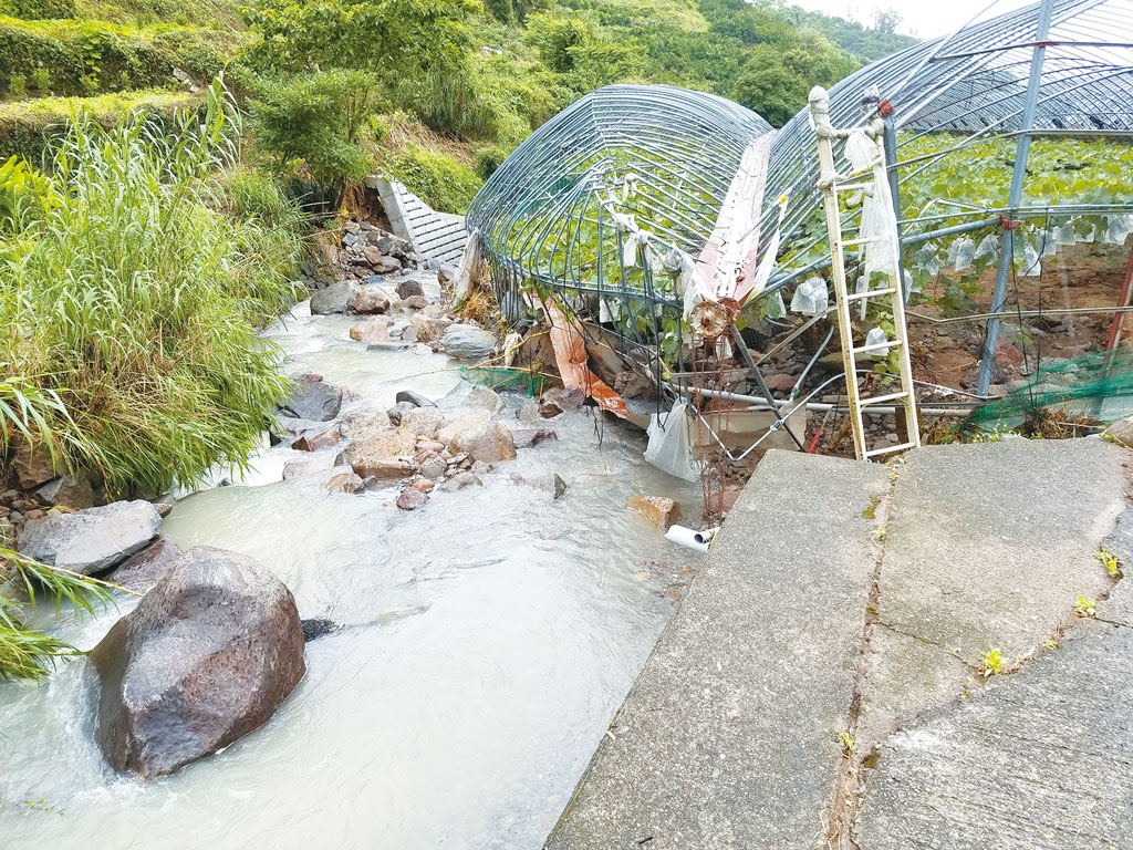 大雨で川にのまれたビニールハウス