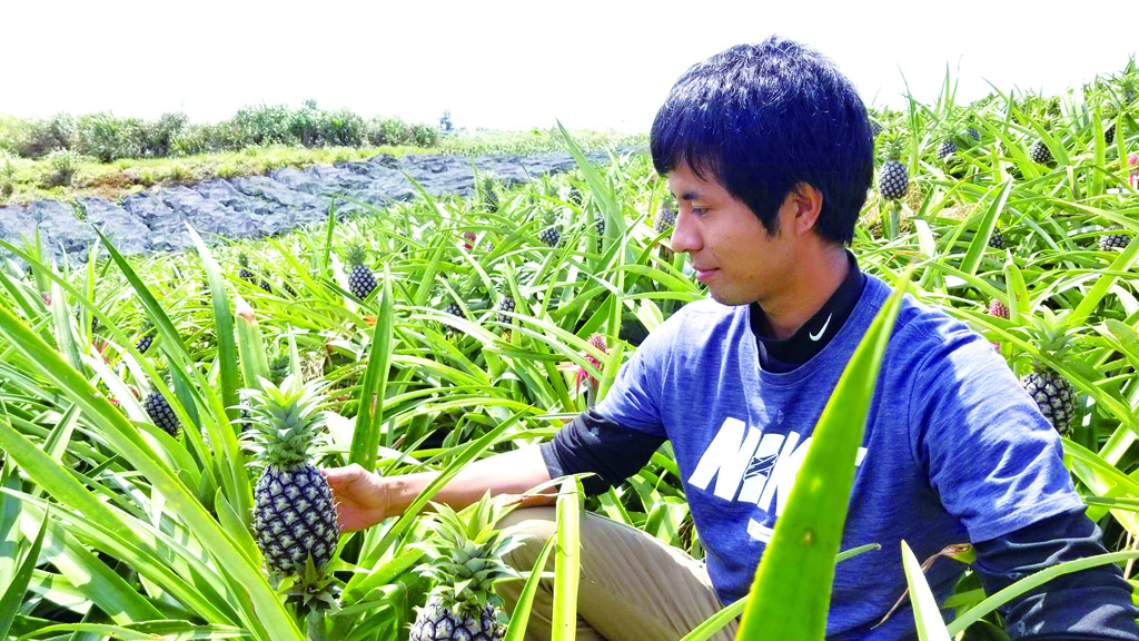 農園ファイミール池村さん