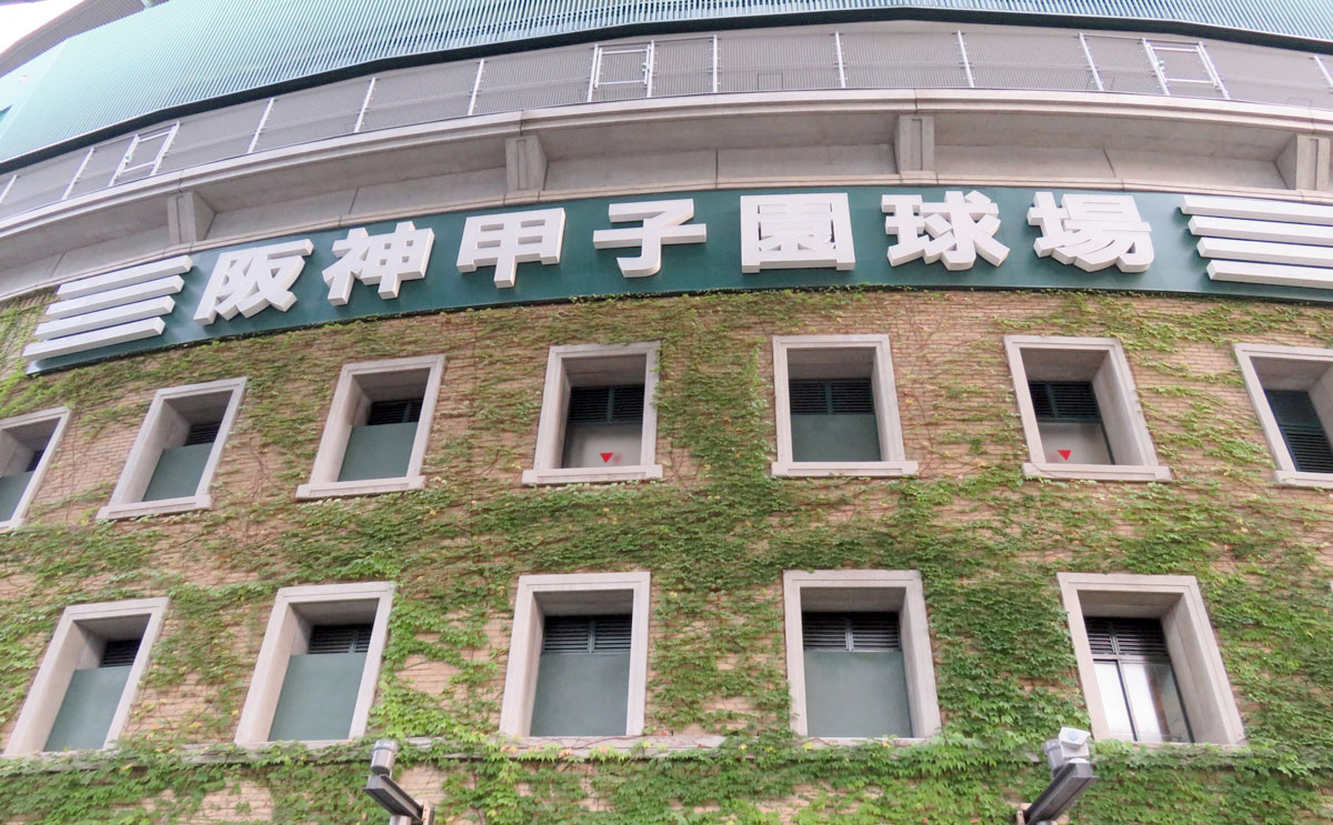 高校野球に熱くなる日々