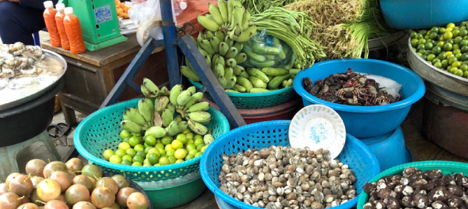 市場調査でカンボジアに行きました (2)