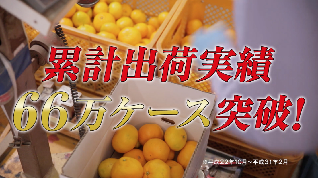 いよいよテレビCMがスタートしました