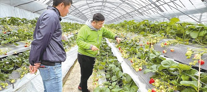 🍓ウキウキらんらん🍓いちご狩り🍓