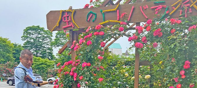 風の丘 大野勝彦美術館はバラ祭り