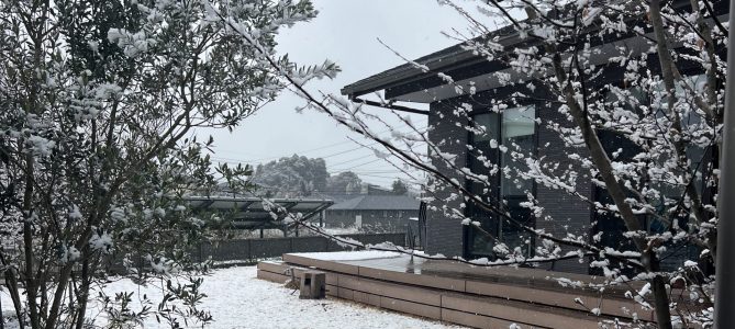 熊本に雪が❄️