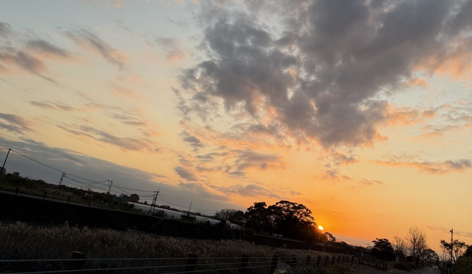 栄光のバックホーム