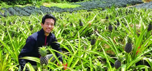 平井農園さん