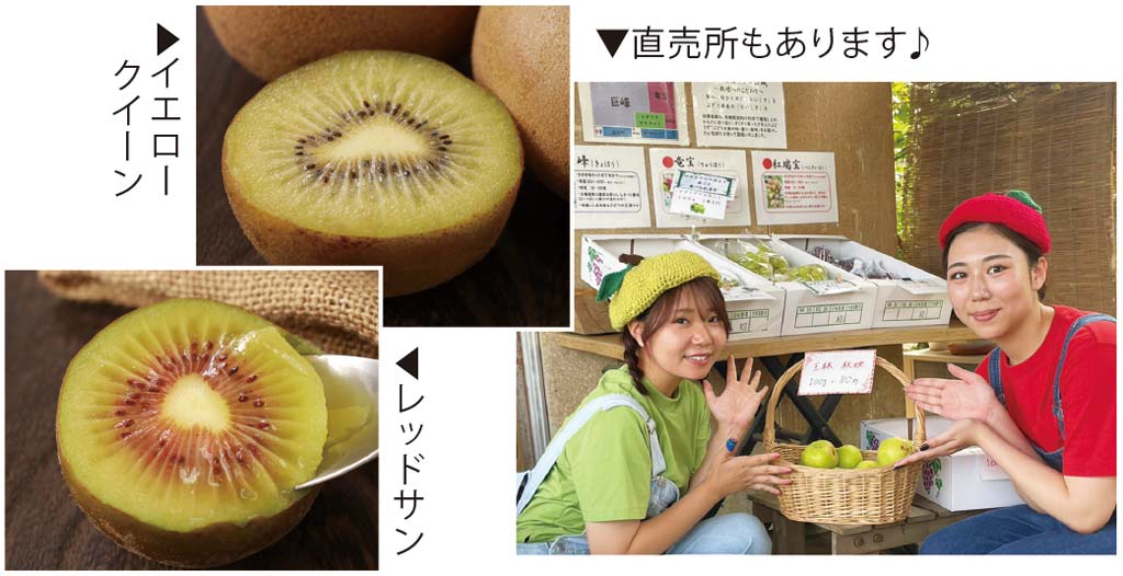 直売所もあります